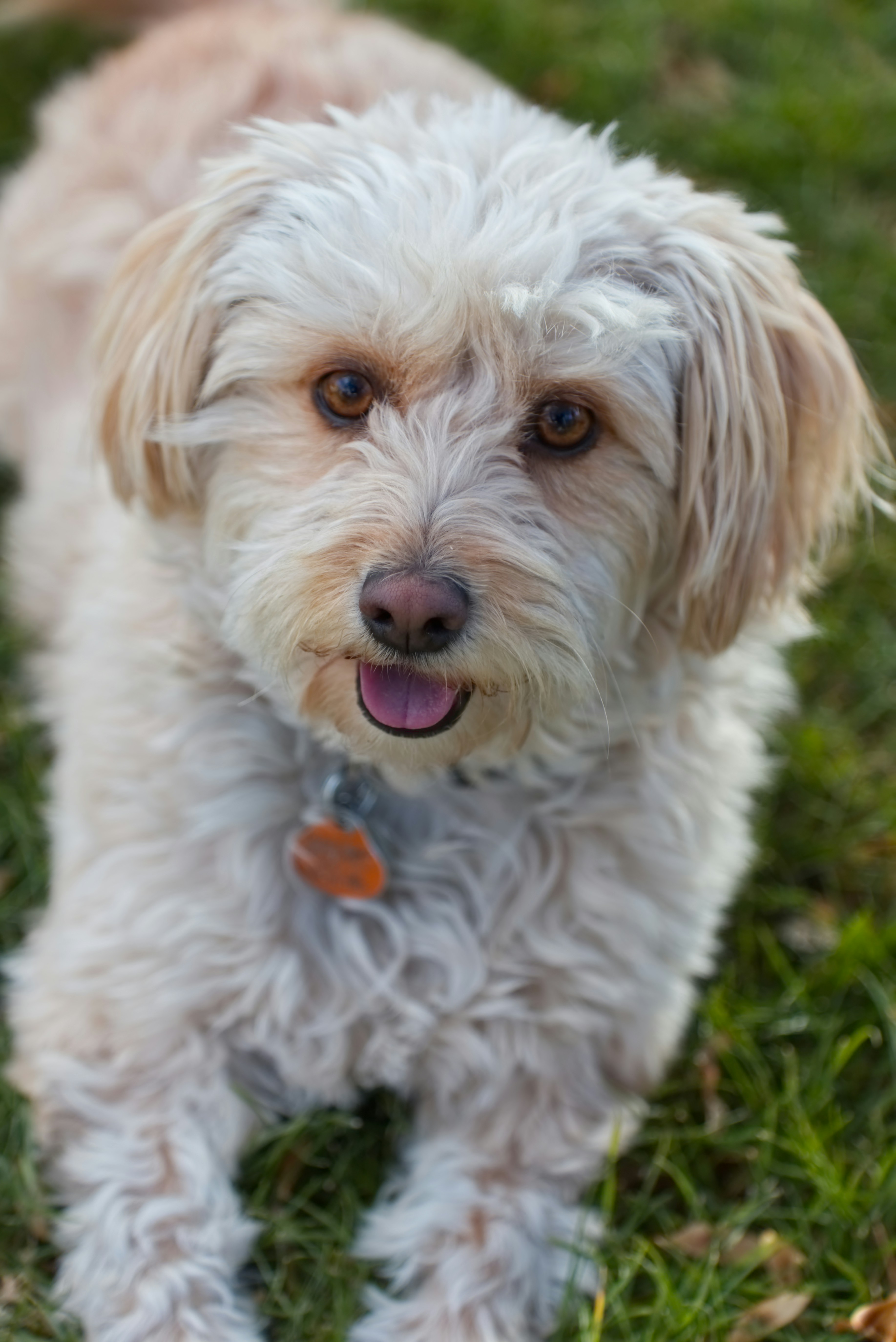 Photo by acton_crawford