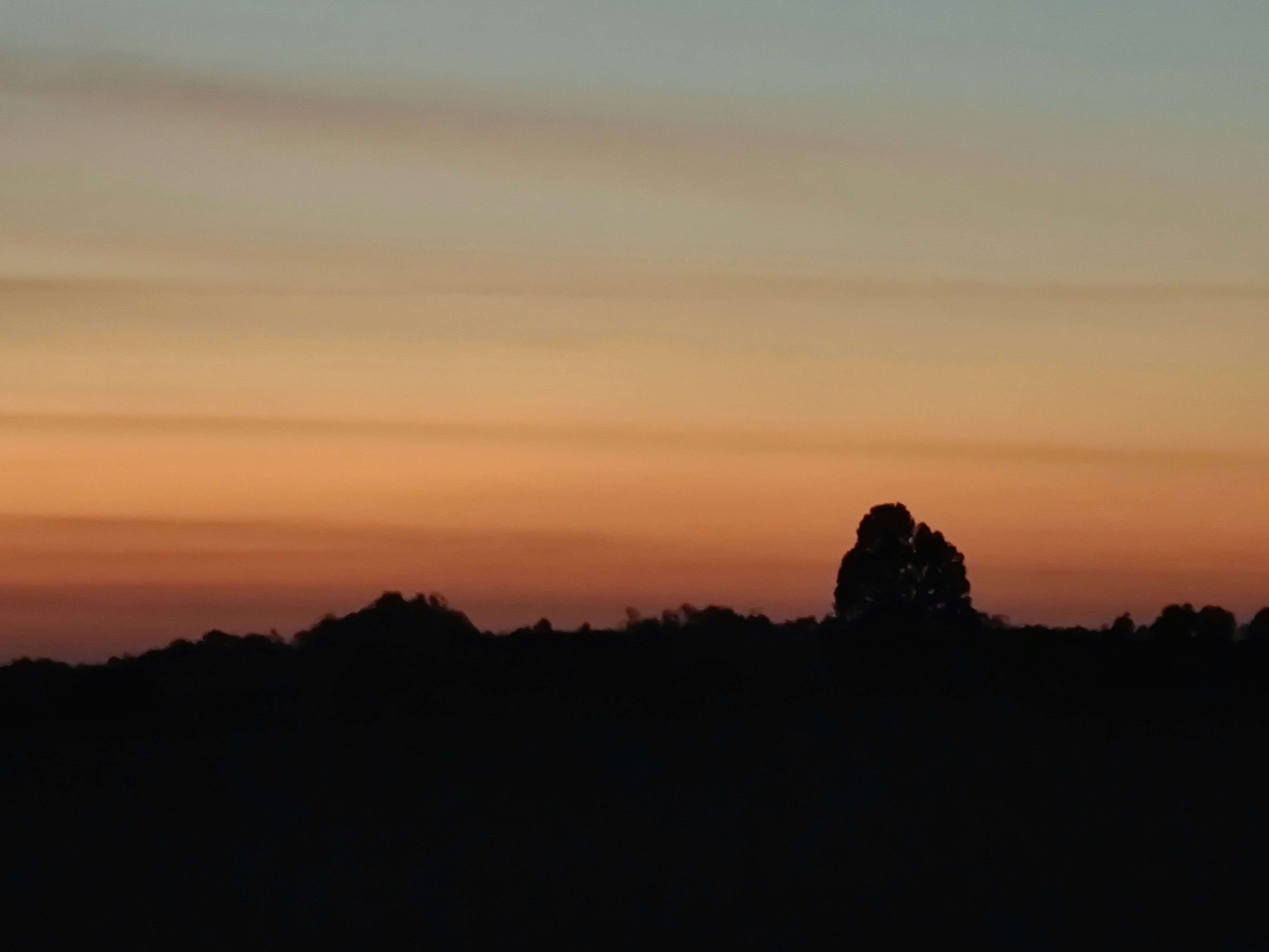 Photo by thoeunratana