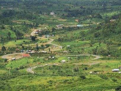 a lush green hillside covered in lots of trees