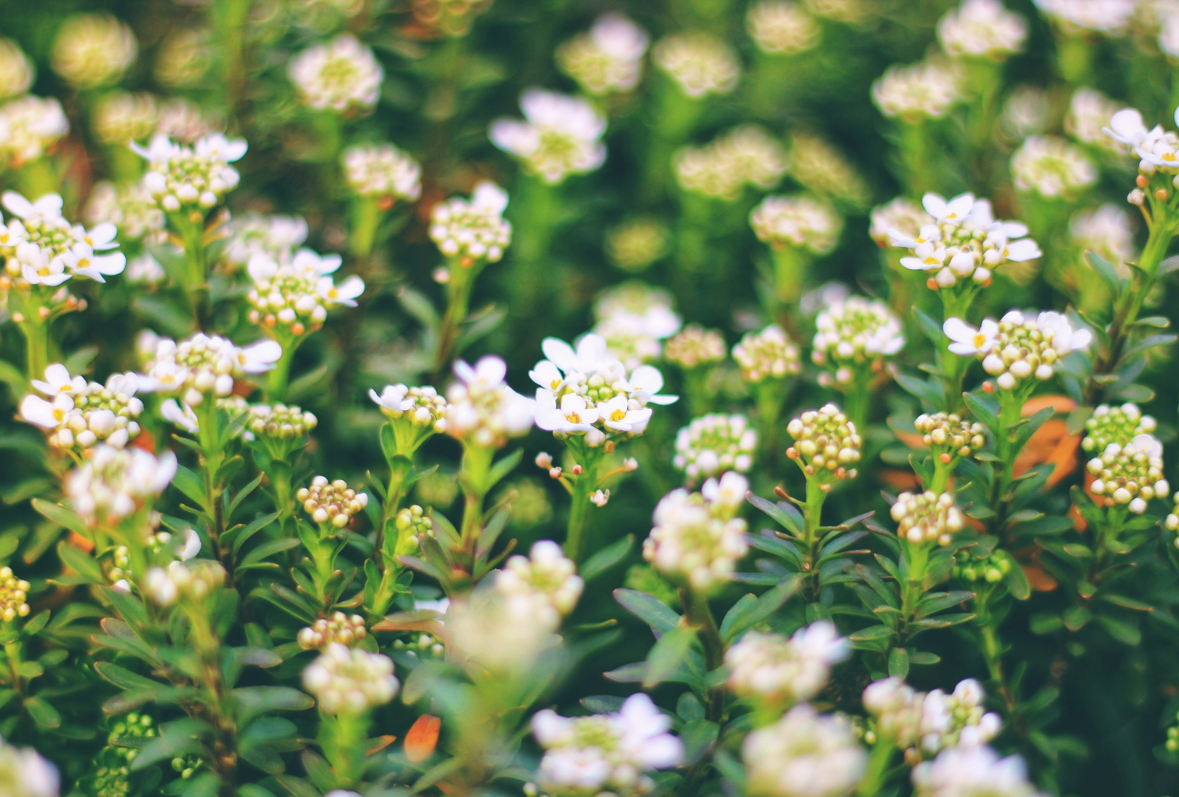 Photo by joylynn_goh