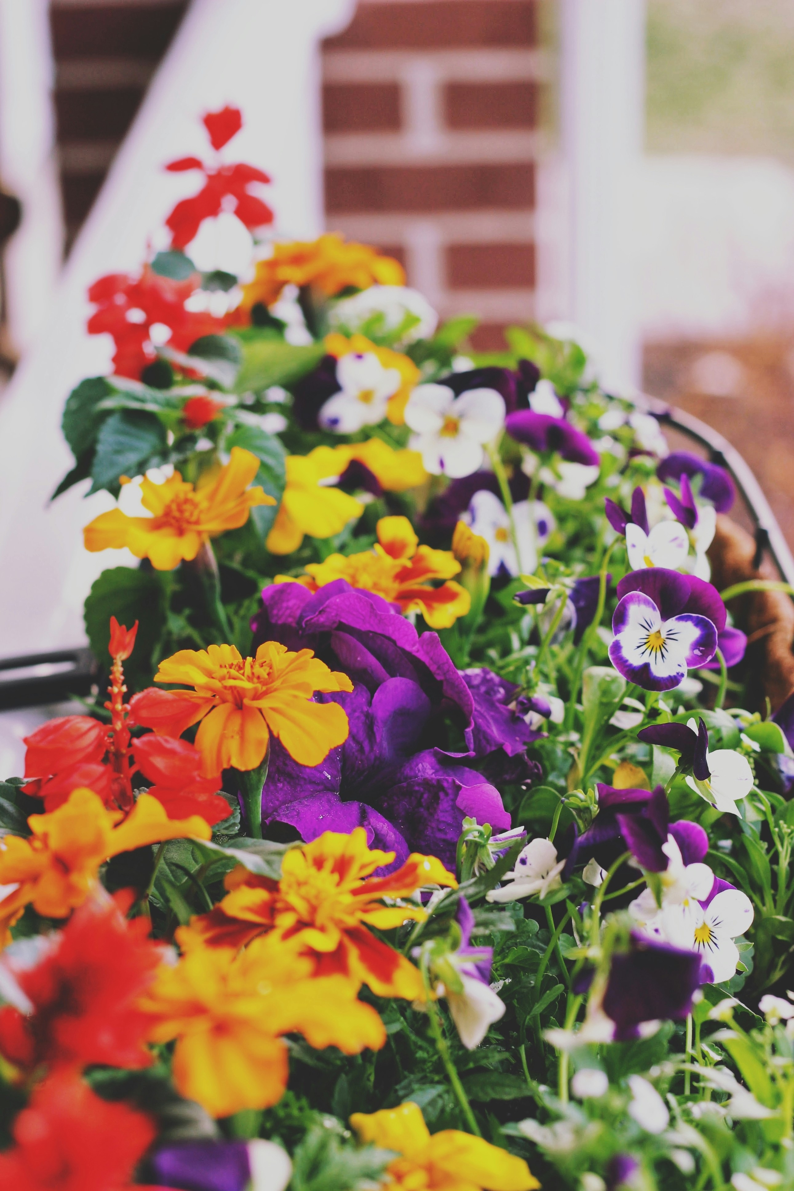 Colorful flowers spring summer, ilustrasi artikel Blooming Beauty: Stunning Floral Arrangements for Every Season 1