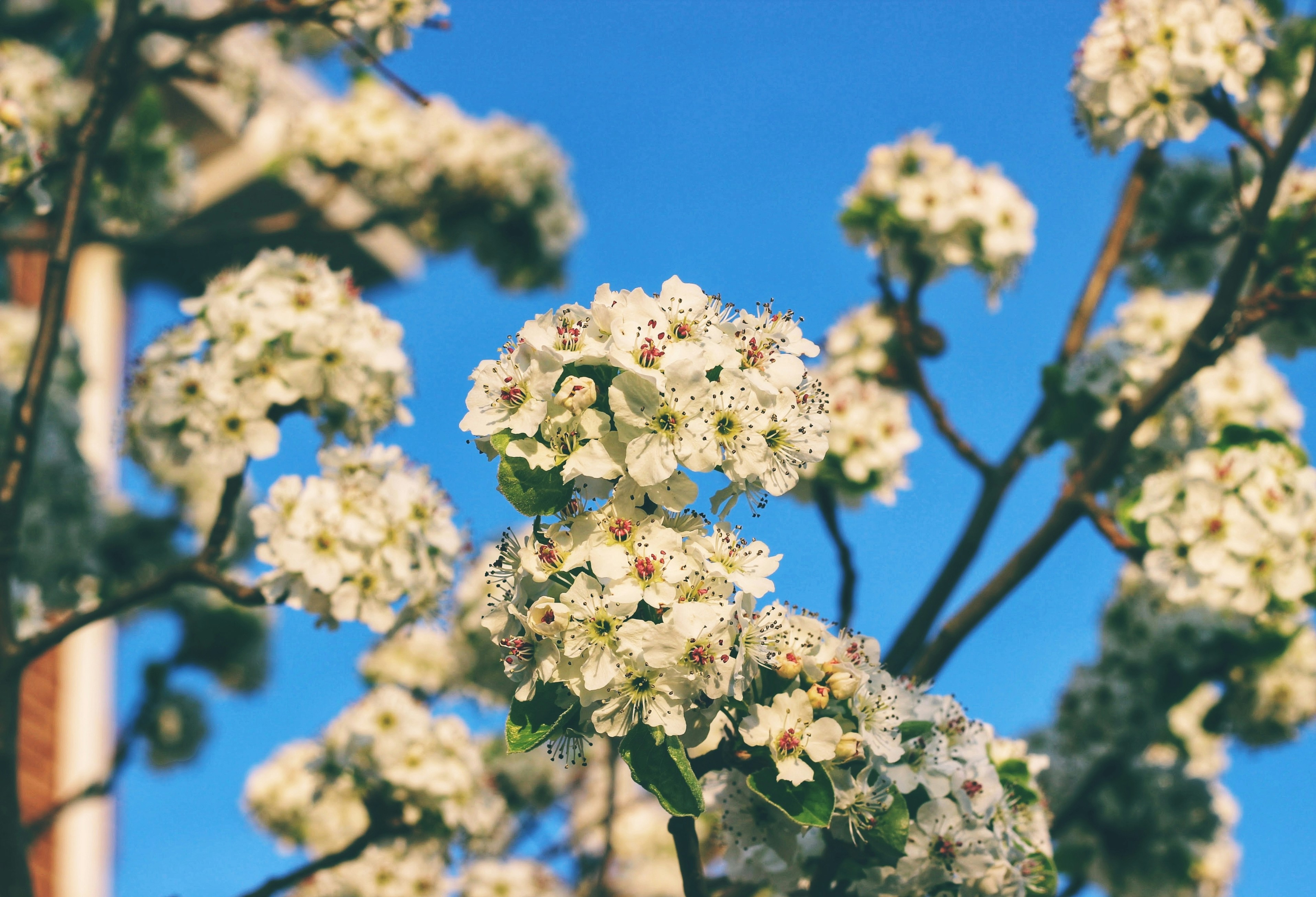 Photo by joylynn_goh