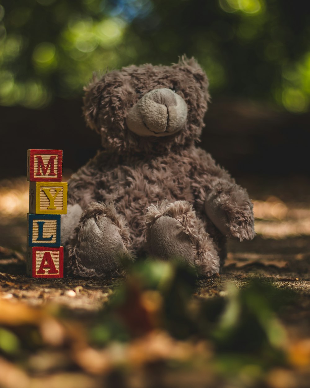 a brown teddy bear sitting next to a wooden block