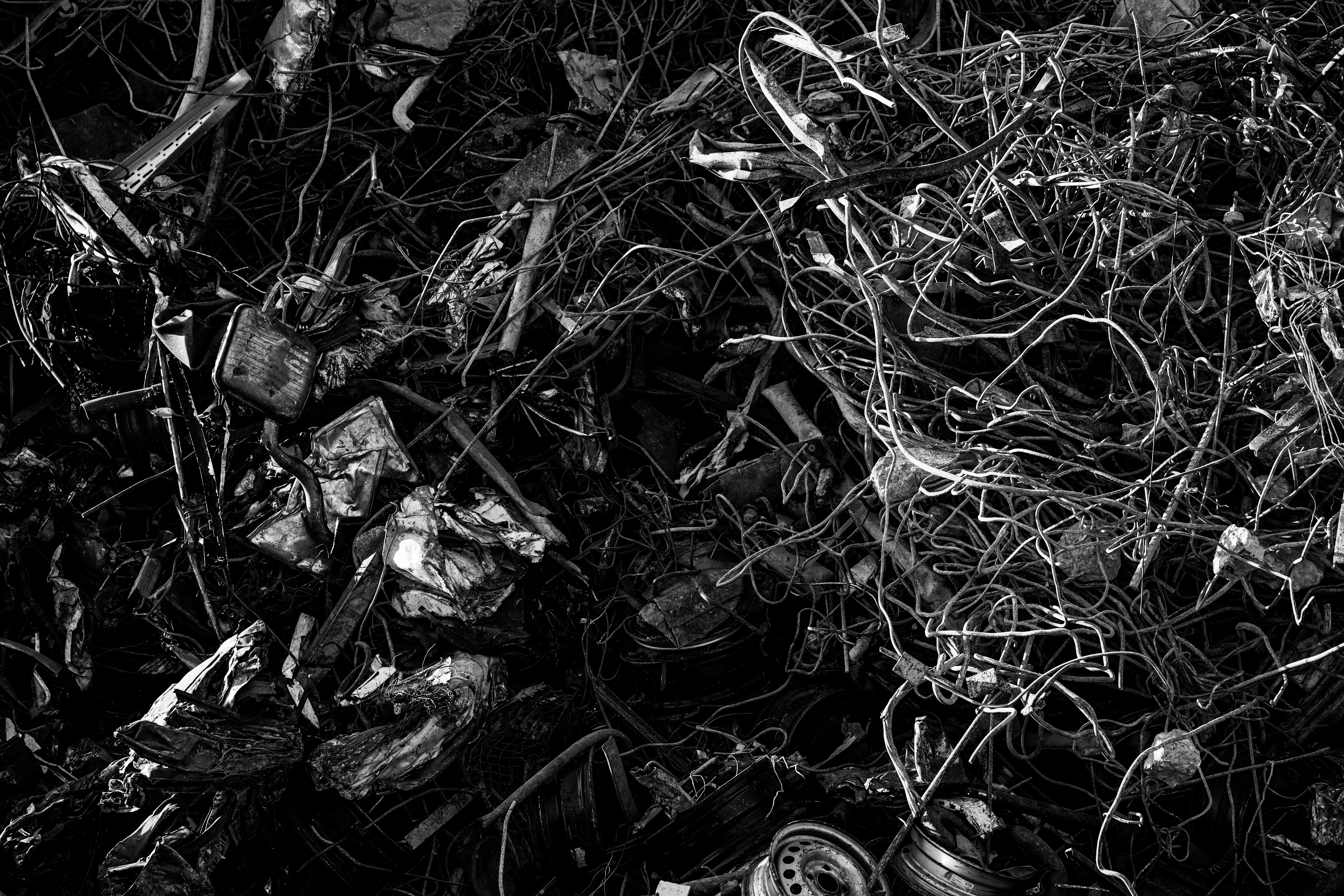 a black and white photo of a bunch of vines