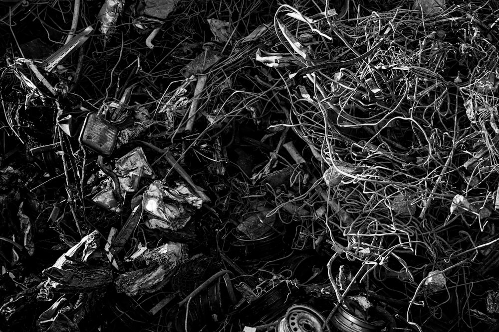 a black and white photo of a bunch of vines