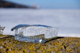 A clear, rectangular block of ice rests on a moss-covered stone surface. The ice contains small bubbles and reflects light, creating a shimmering effect. The background is blurred, suggesting an outdoor setting with a distant horizon.