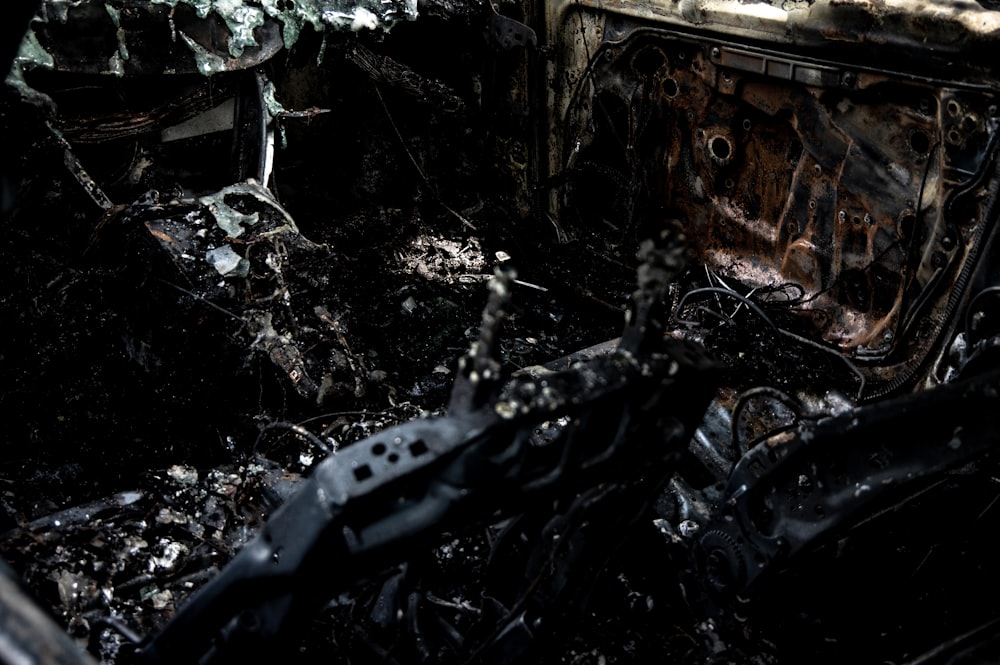 the interior of a burned out car in the woods