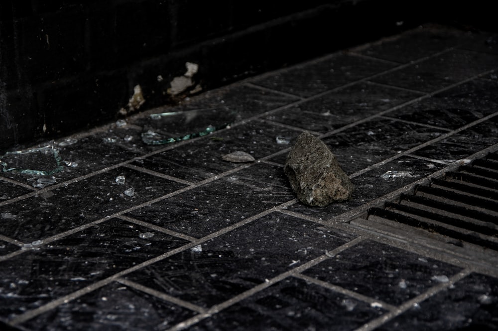 a dead mouse on a tiled floor in a dark room
