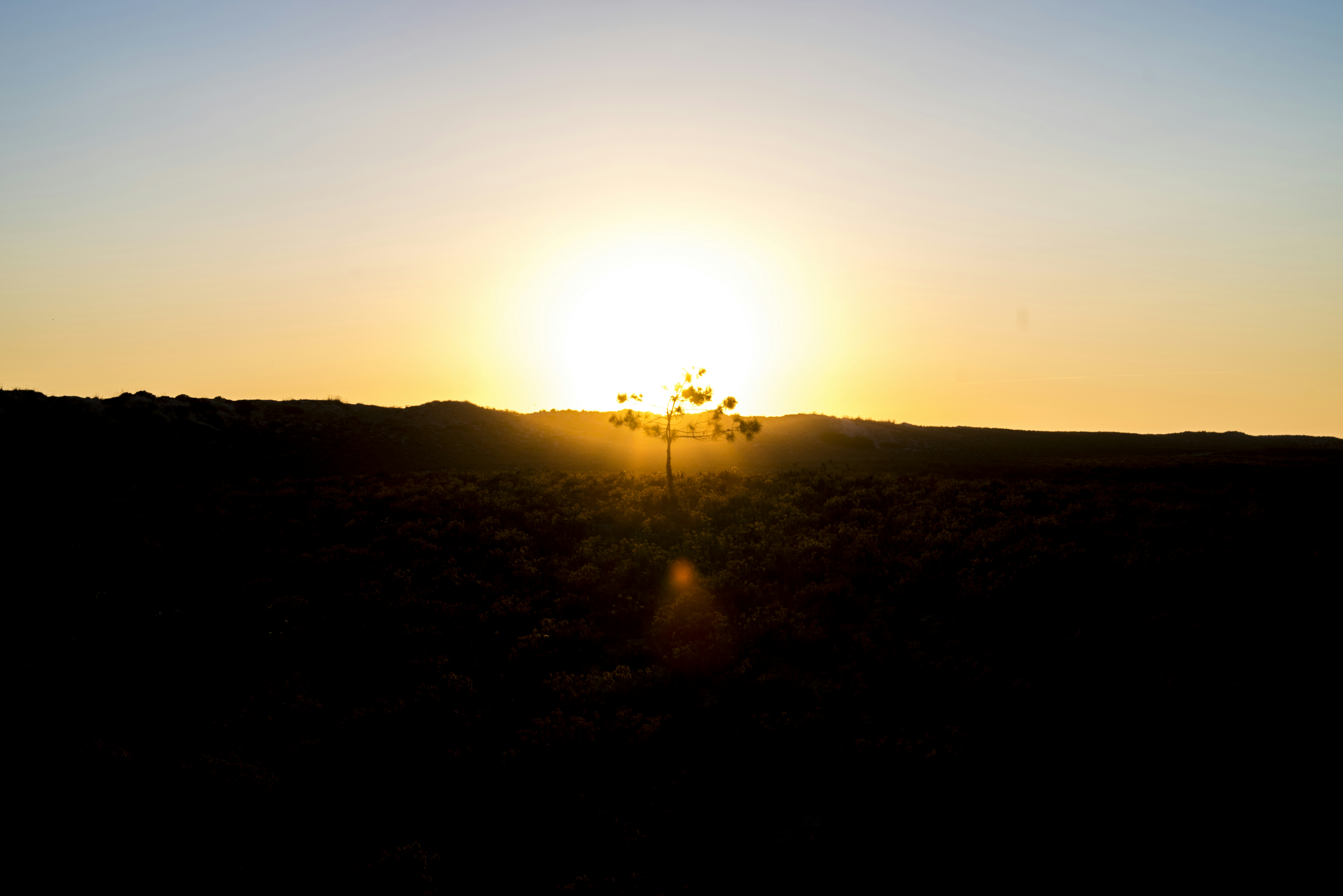 Foto El sol se está poniendo sobre un paisaje desértico – Imagen Sol ...