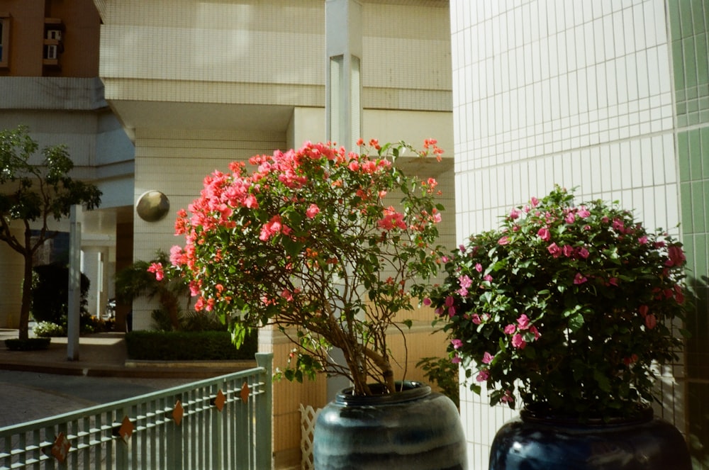 a couple of vases that have flowers in them