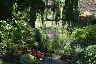 a wooden bench sitting in the middle of a lush green park
