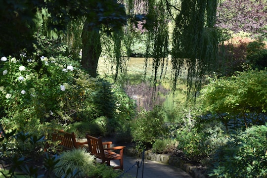 a wooden bench sitting in the middle of a lush green park