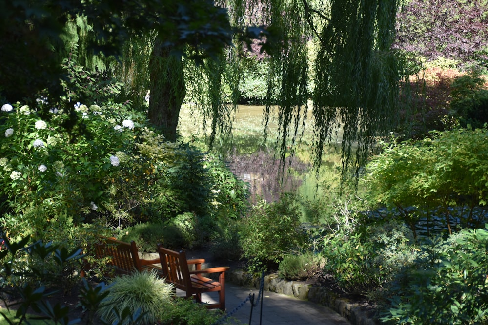 um banco de madeira sentado no meio de um parque verde exuberante
