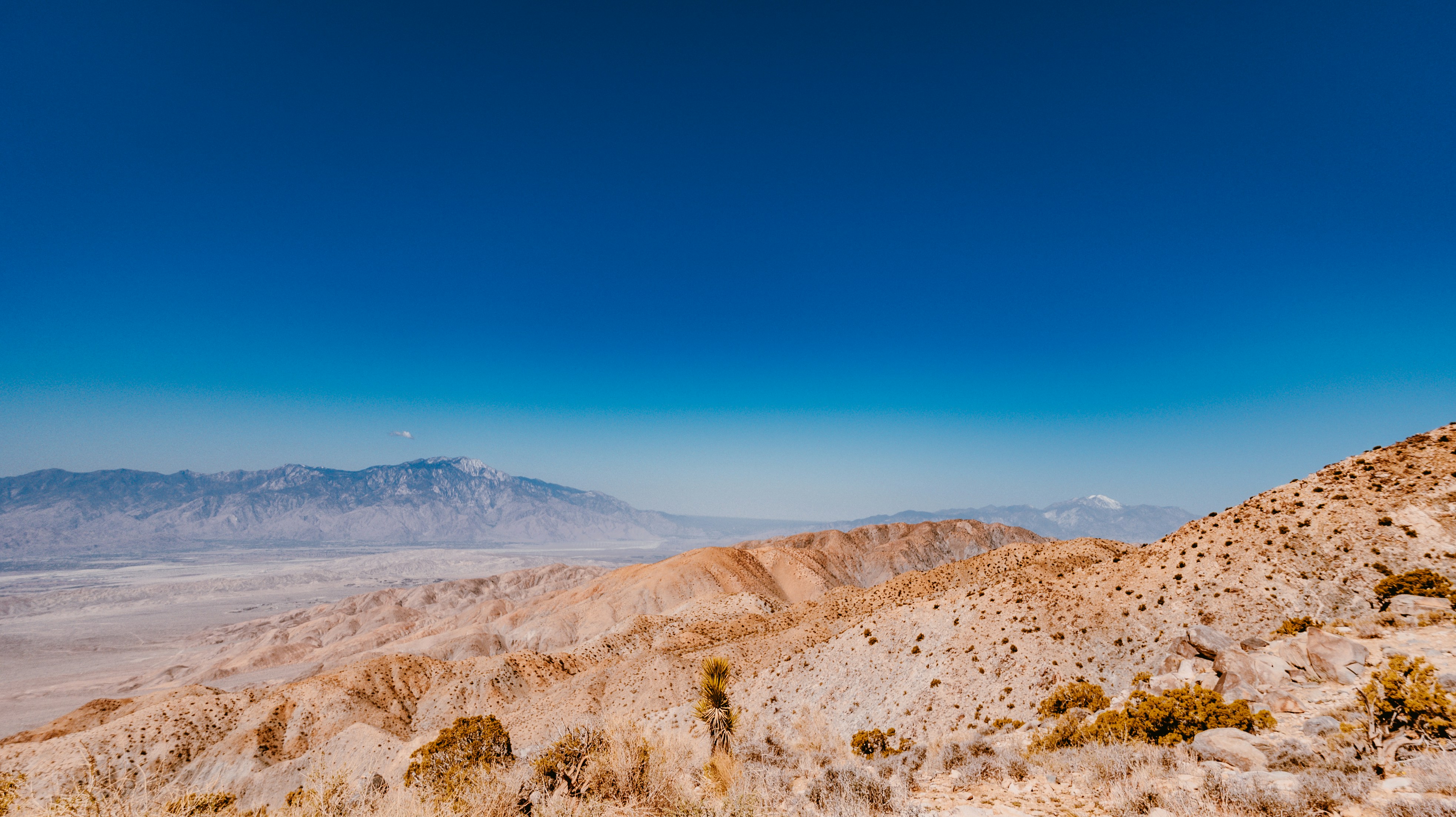 Photo by mandacreatespretty