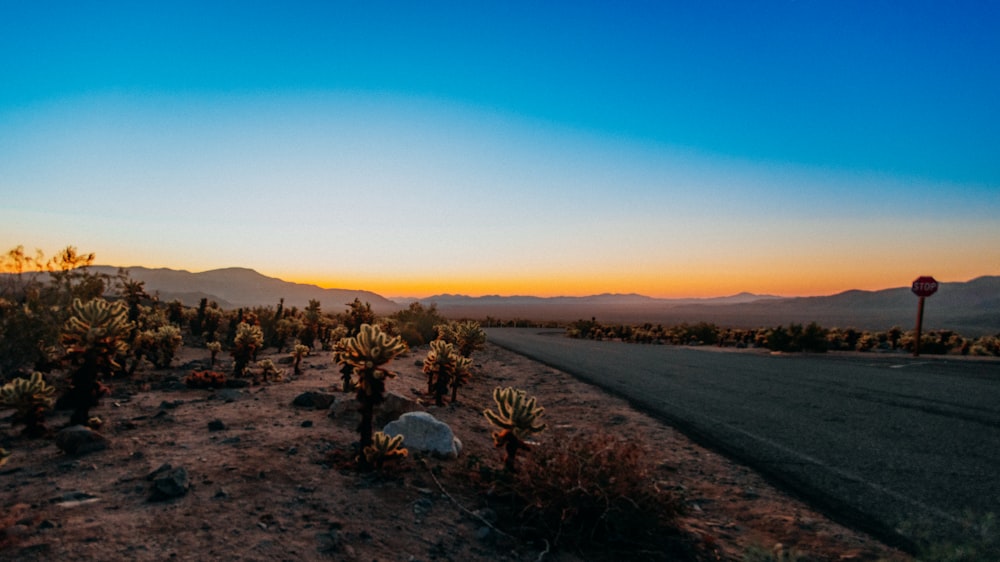 the sun is setting over a desert with cacti