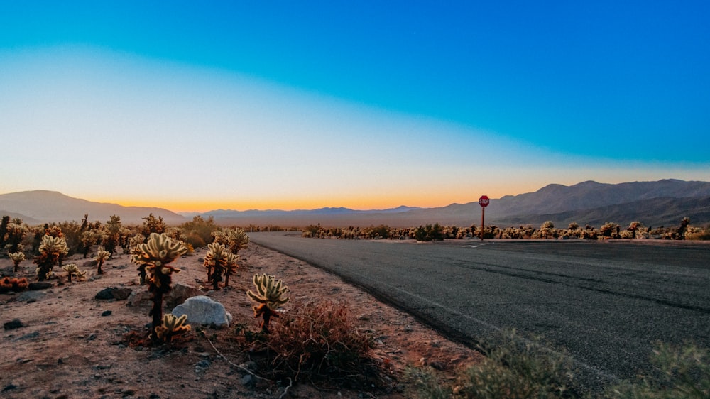 a desert landscape with a road and mountains in the background