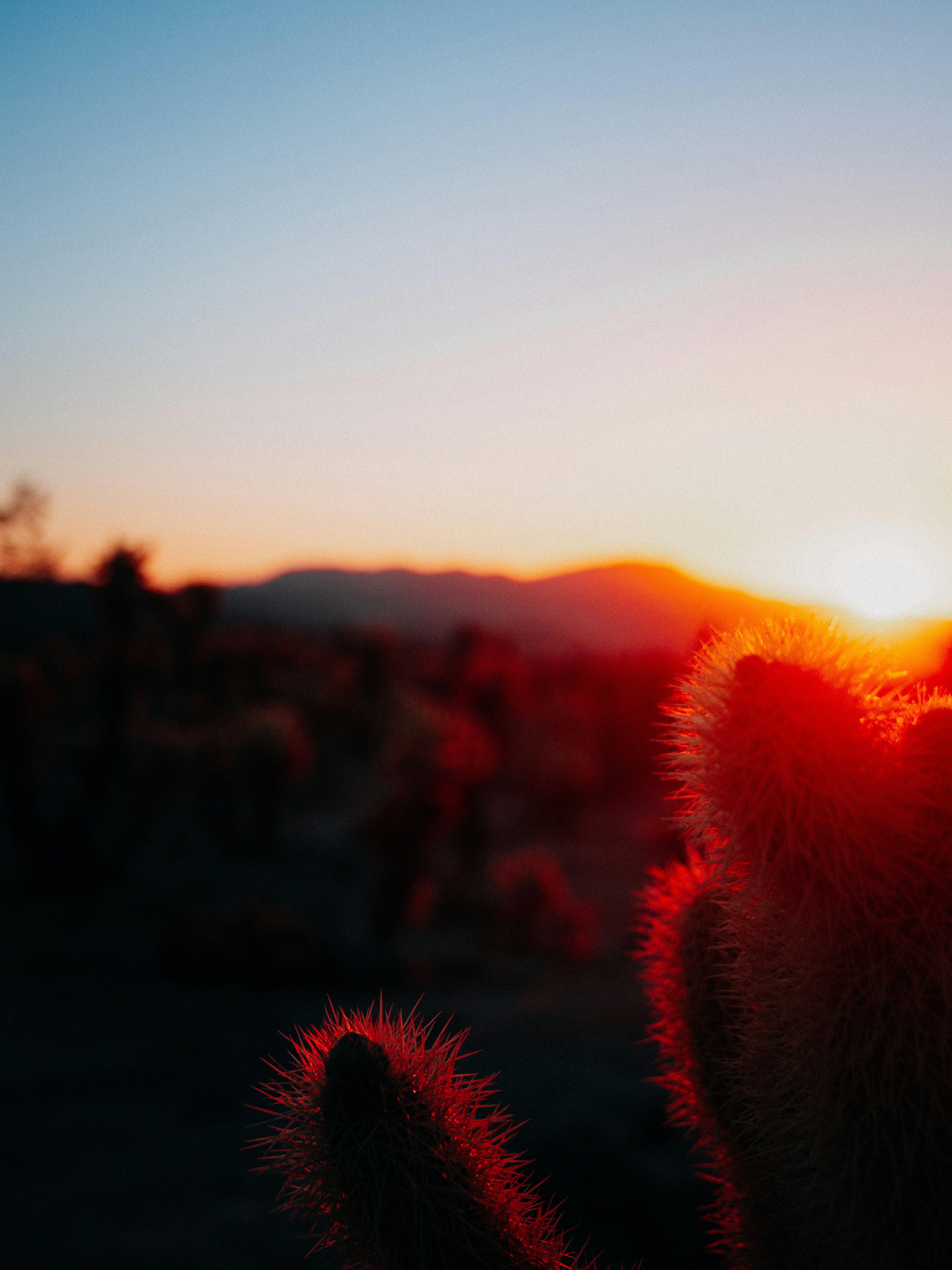 Photo by mandacreatespretty