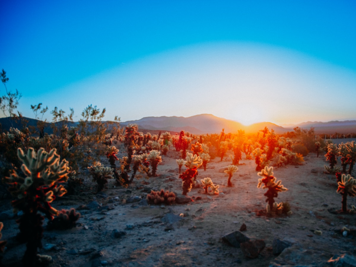 Sol nascendo sobre dunas do deserto — luz rompendo a escuridão da noite