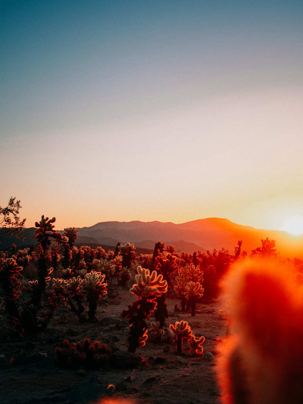 the sun is setting over a desert landscape