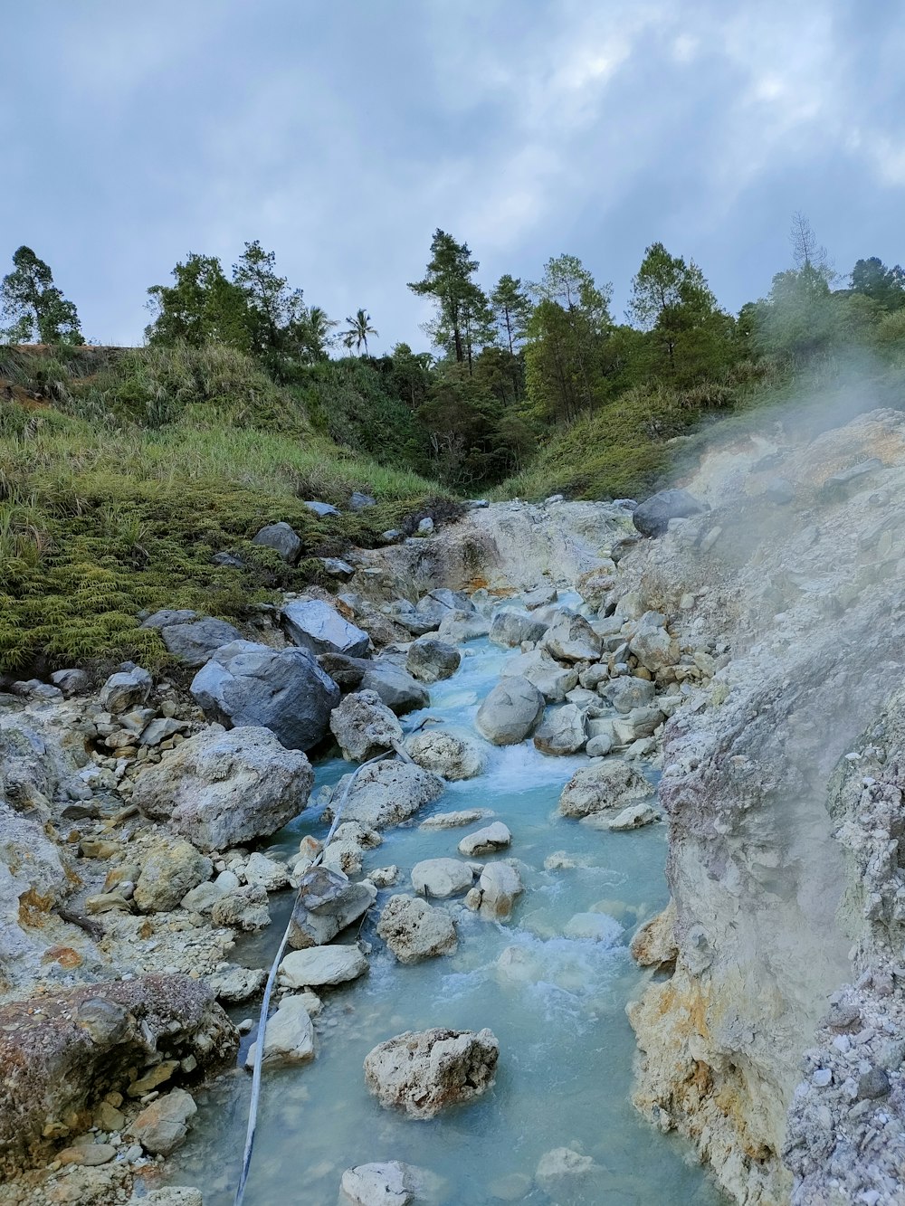 a stream of water running through a lush green hillside