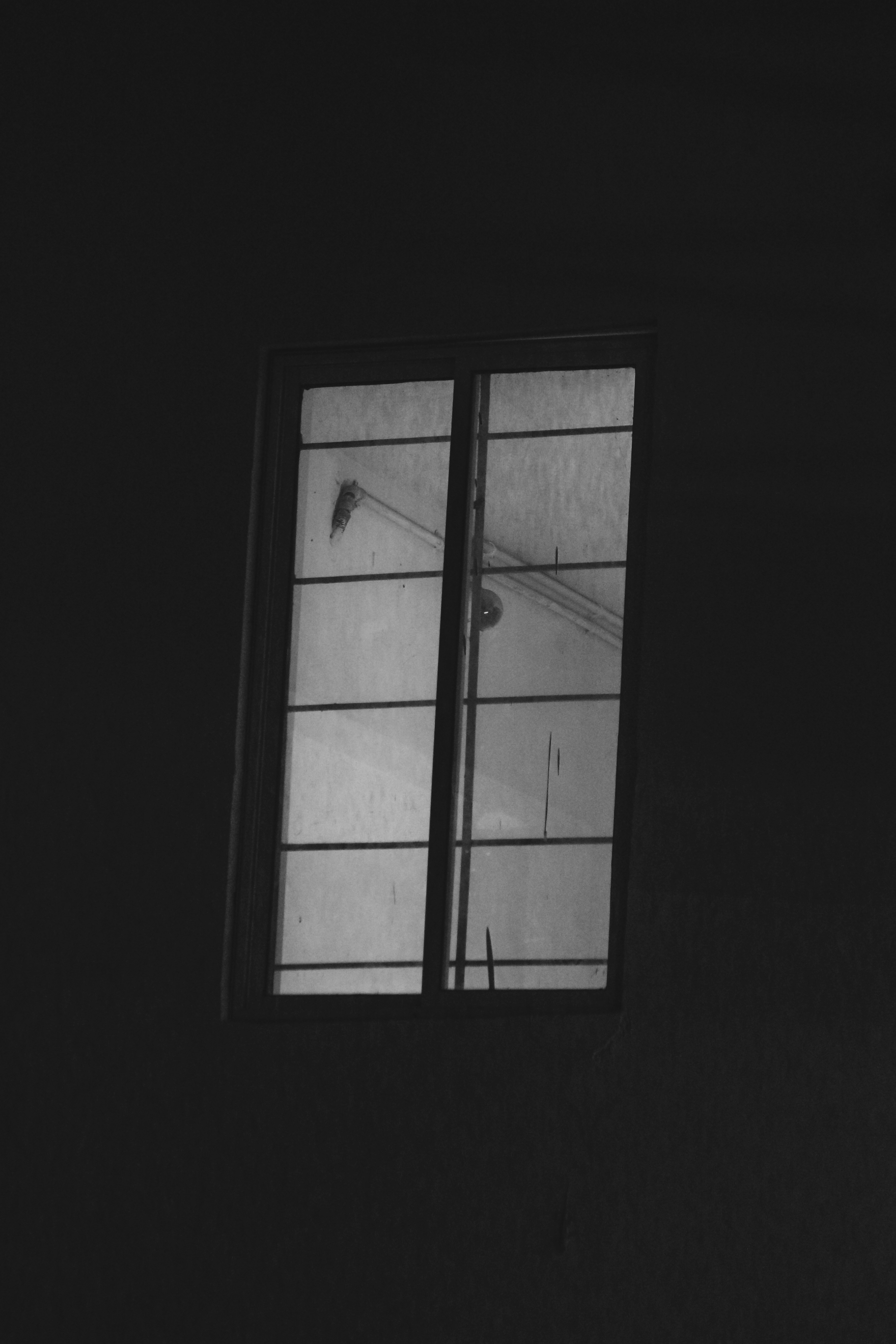 Photo by blesspapa55