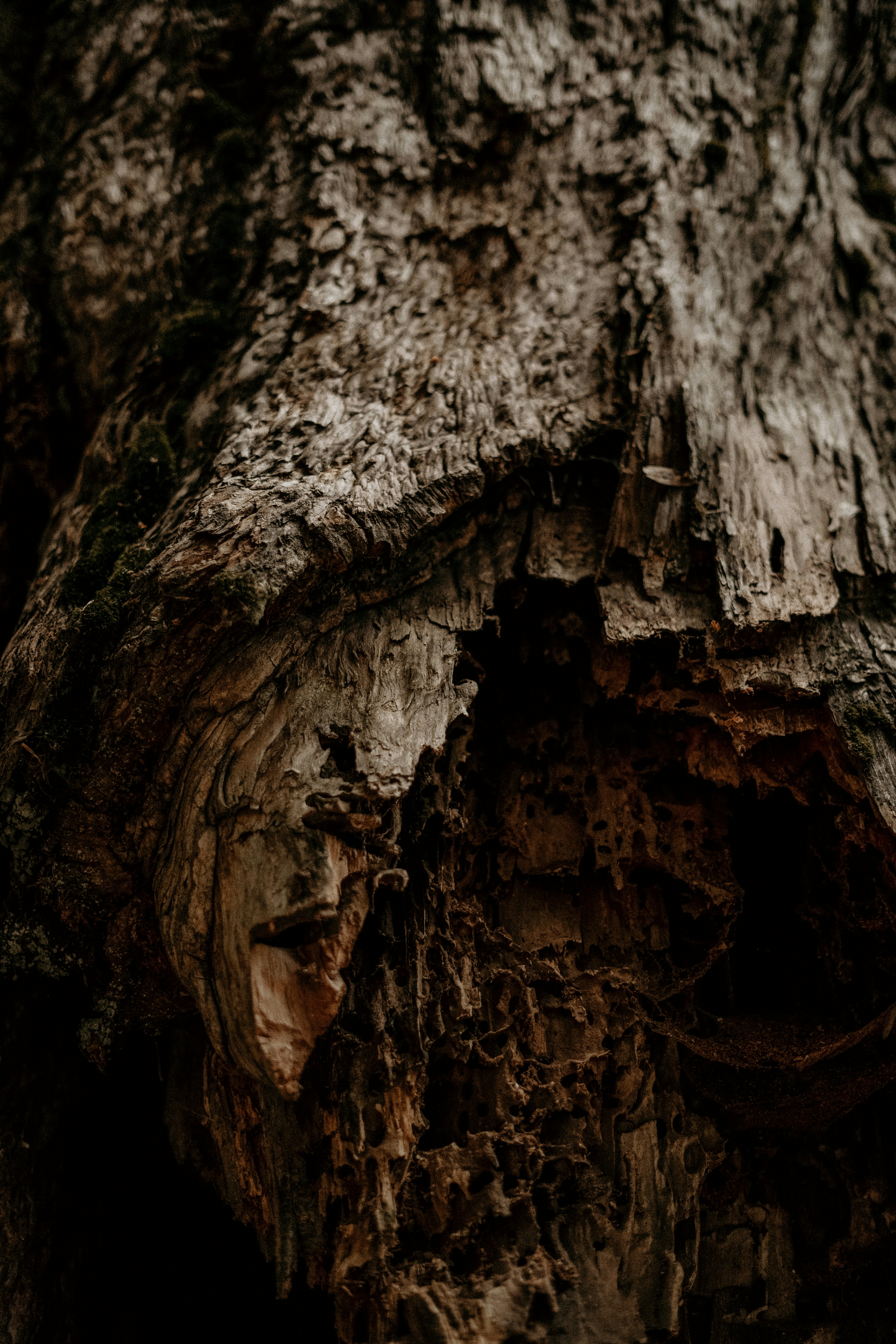 Photo by dubai_love_story