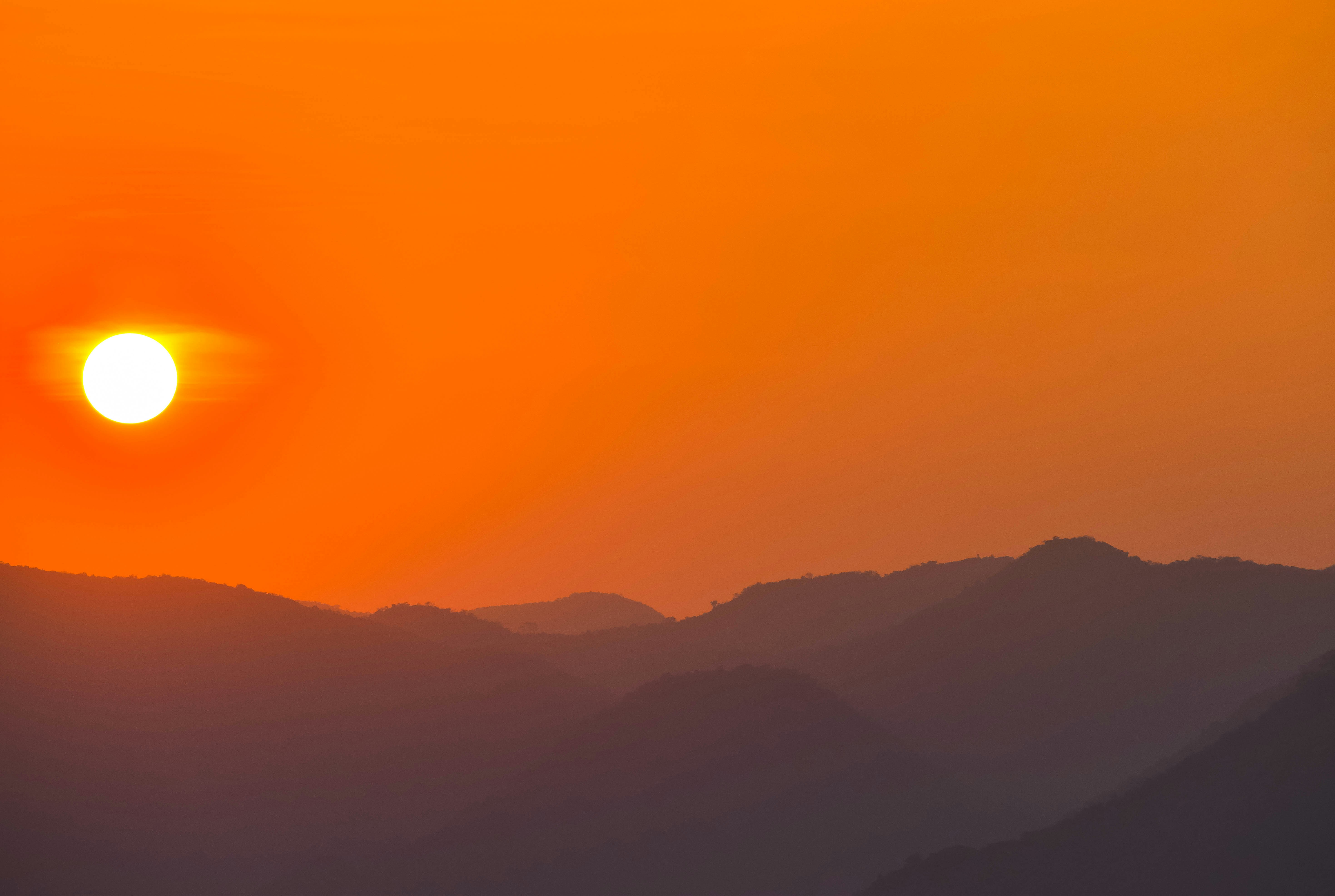 Photo by navi_photography