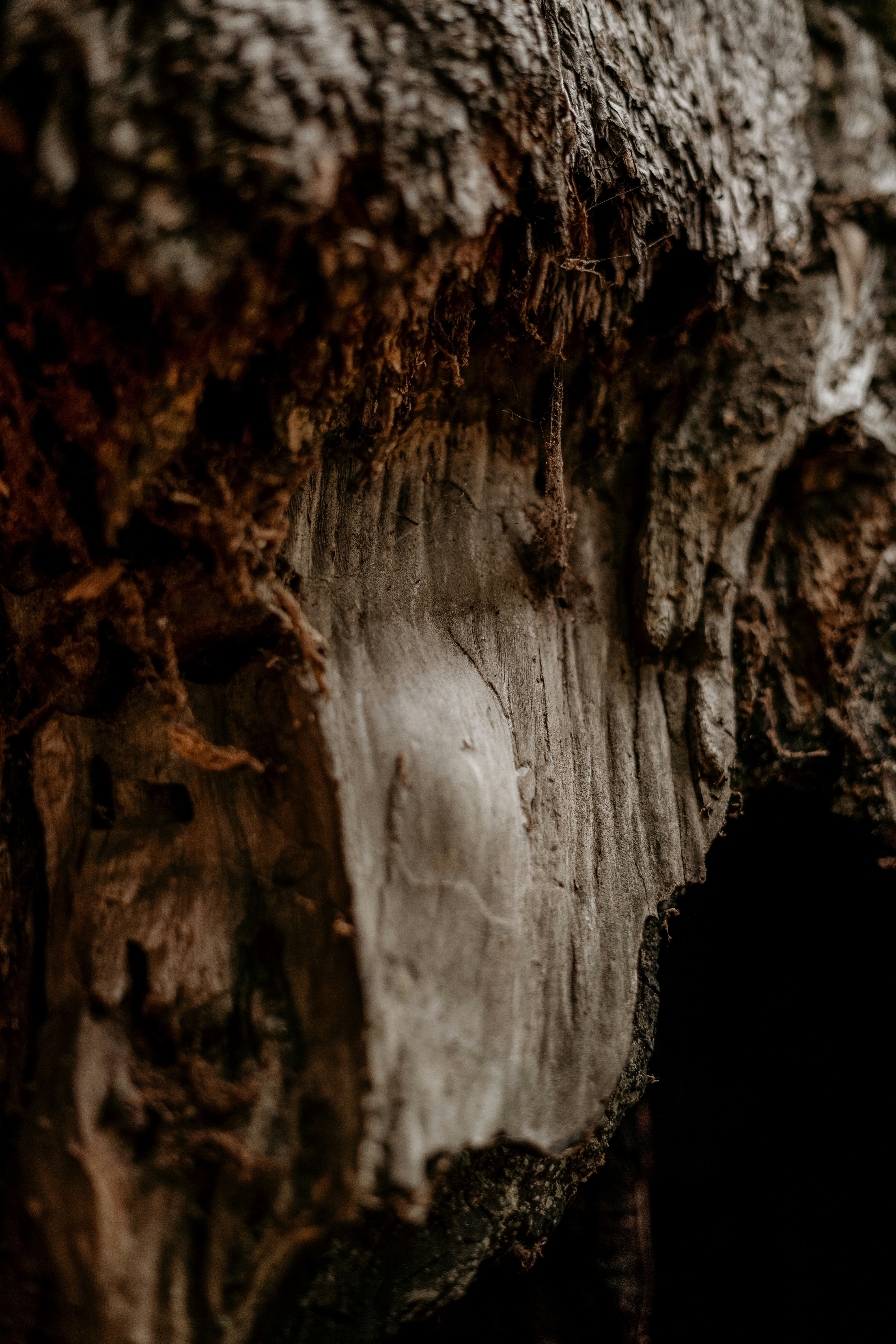 Photo by dubai_love_story