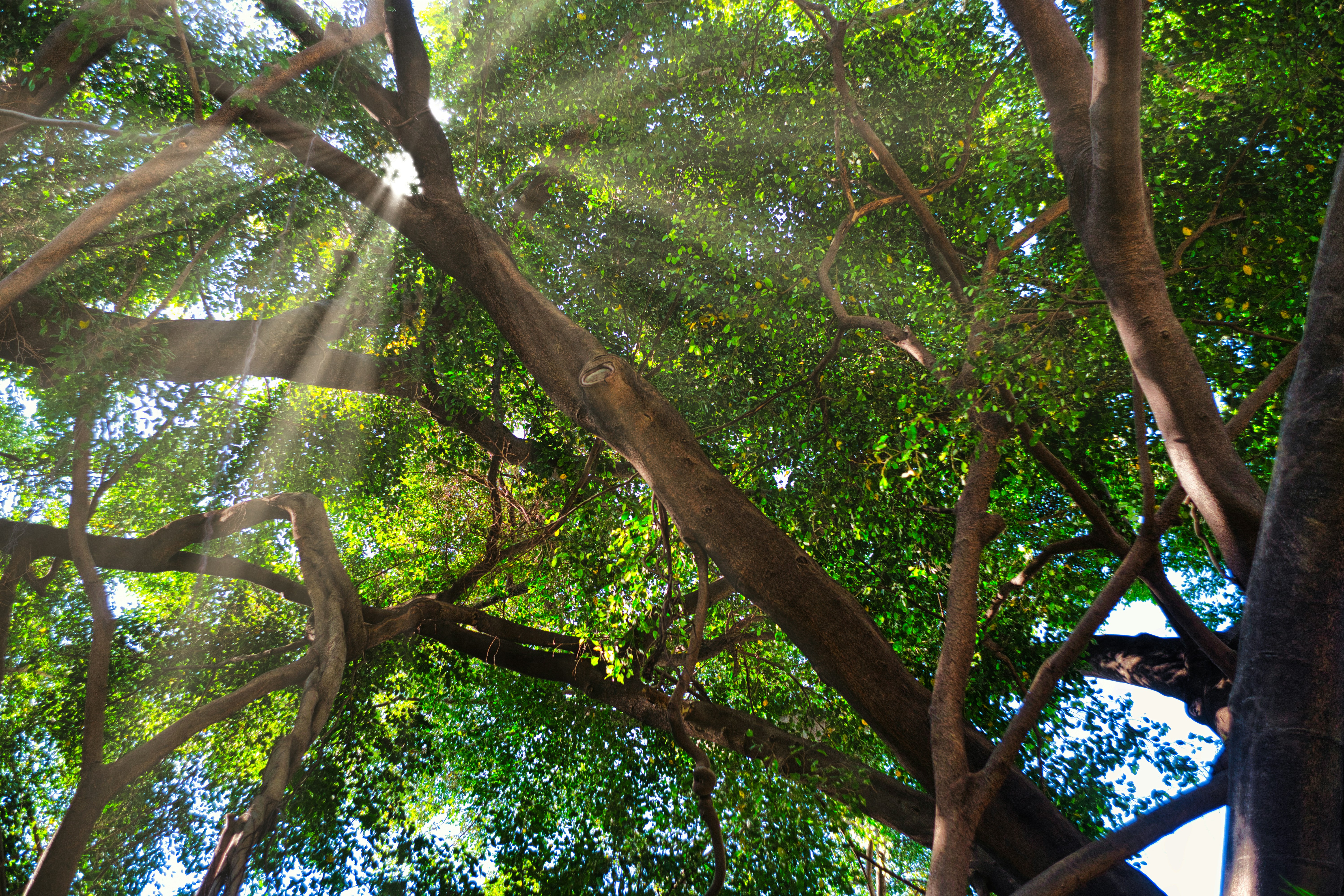 Photo by thomaskinto