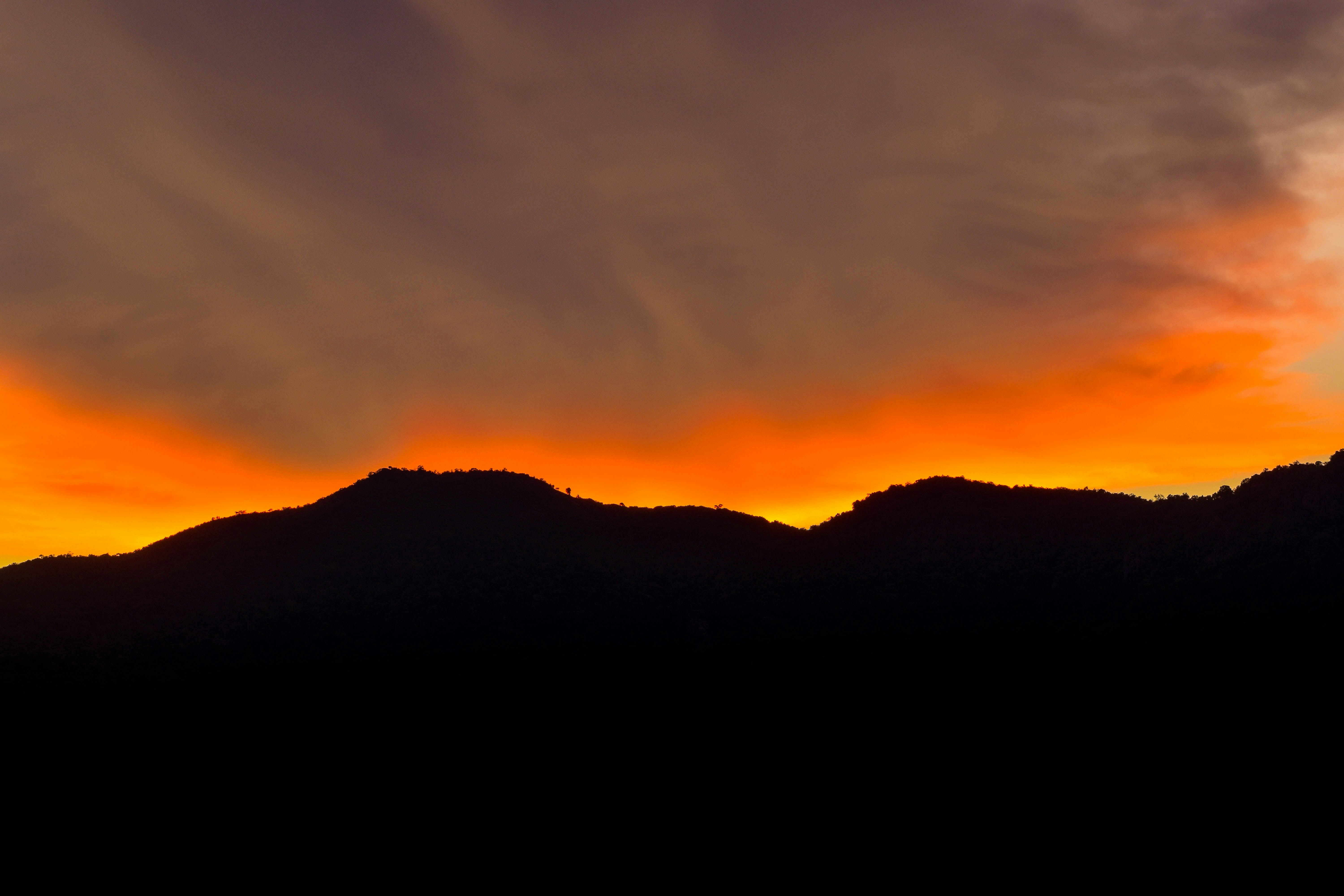 Photo by navi_photography