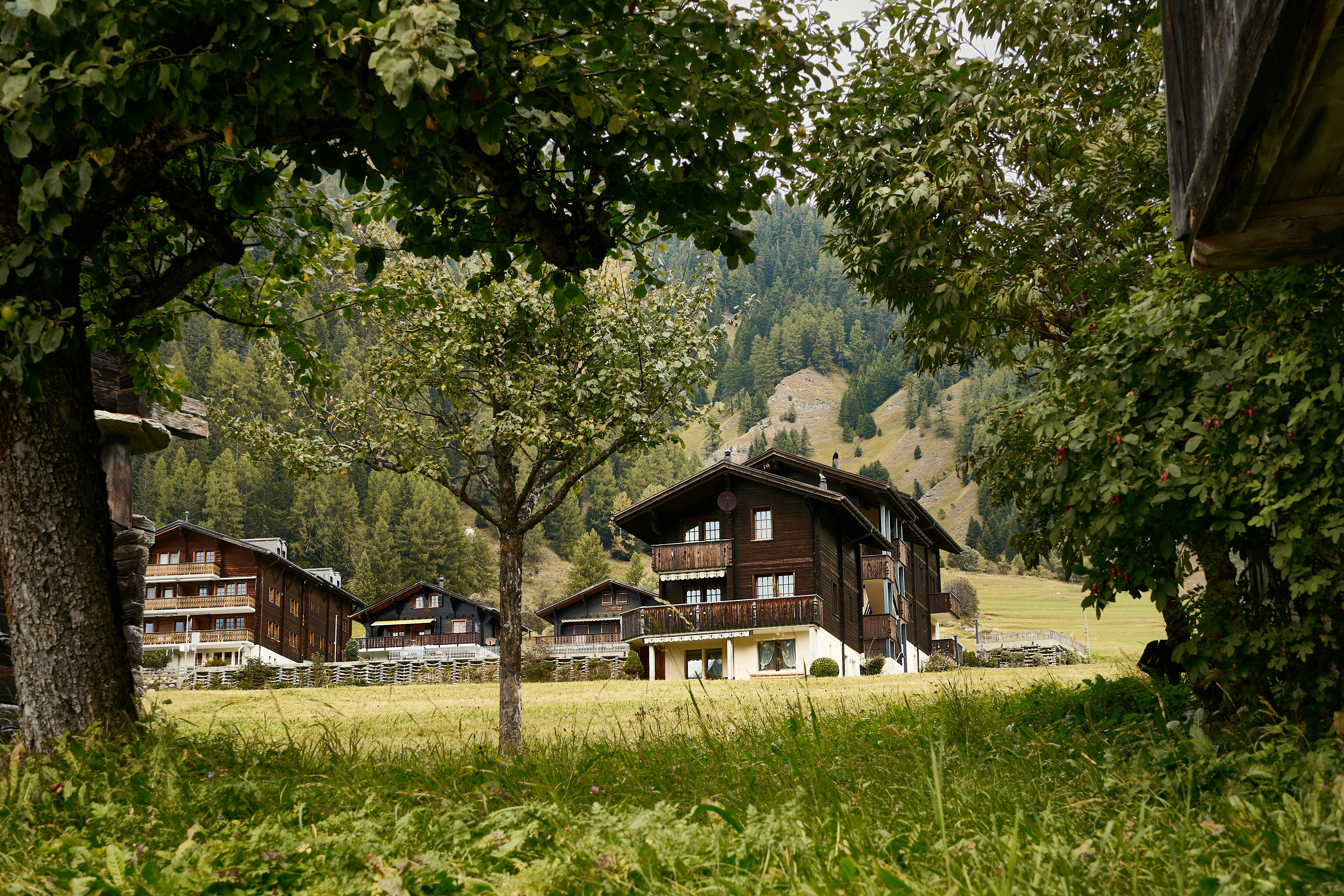 Photo by peter_borter