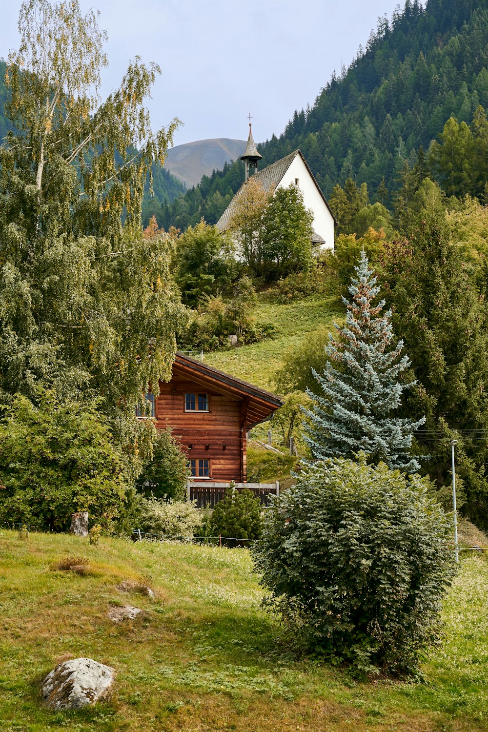 a house on a hill surrounded by trees