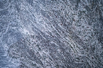 a bird flying over a snow covered ground