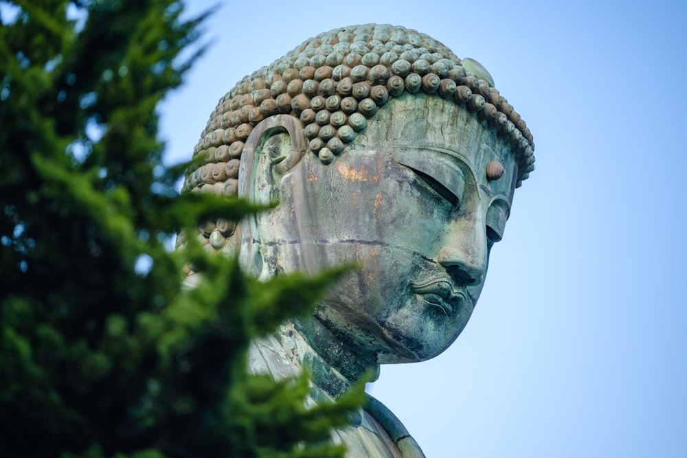a large buddha statue sitting next to a tree