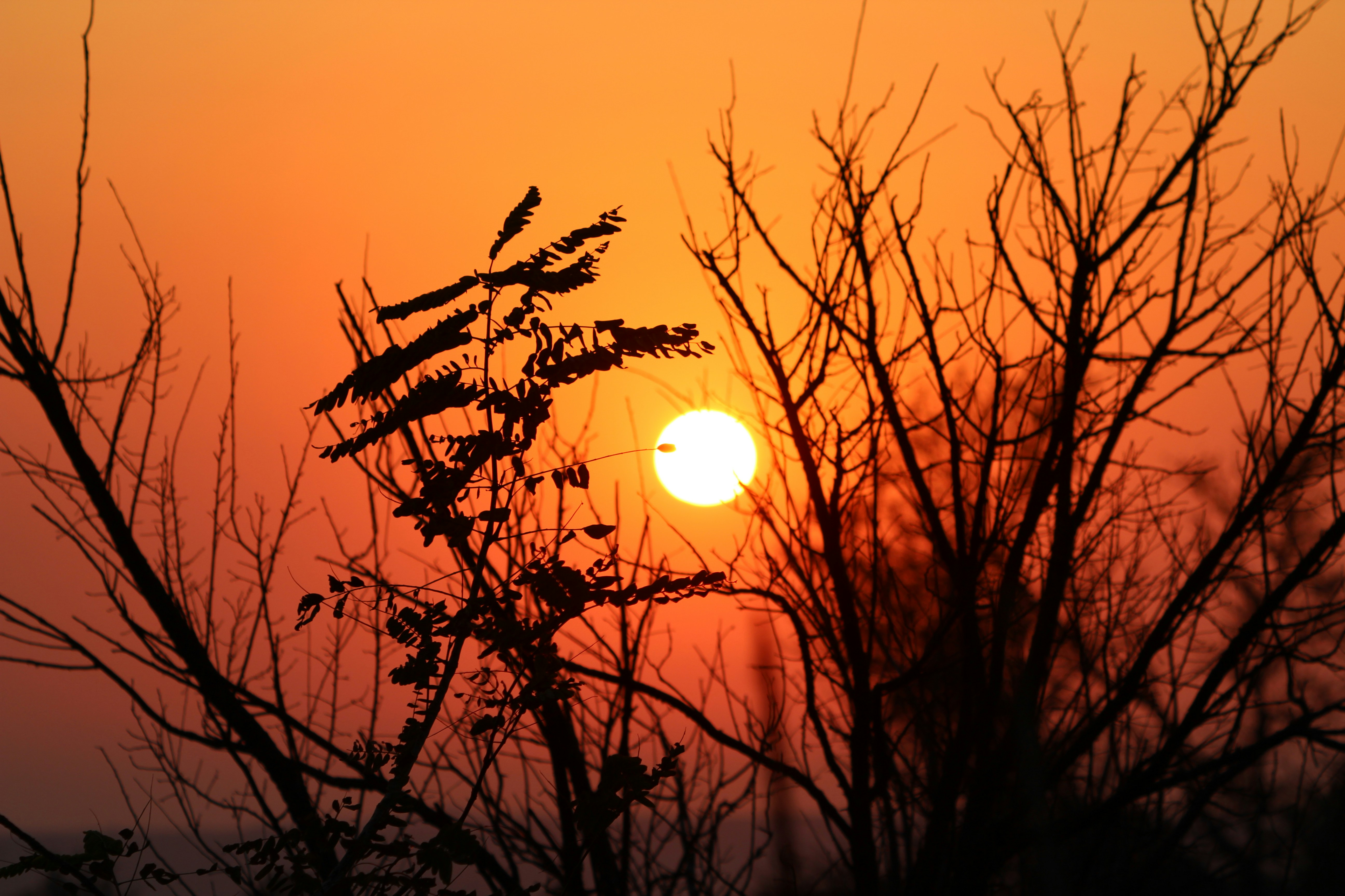 Early Morning Sunrise