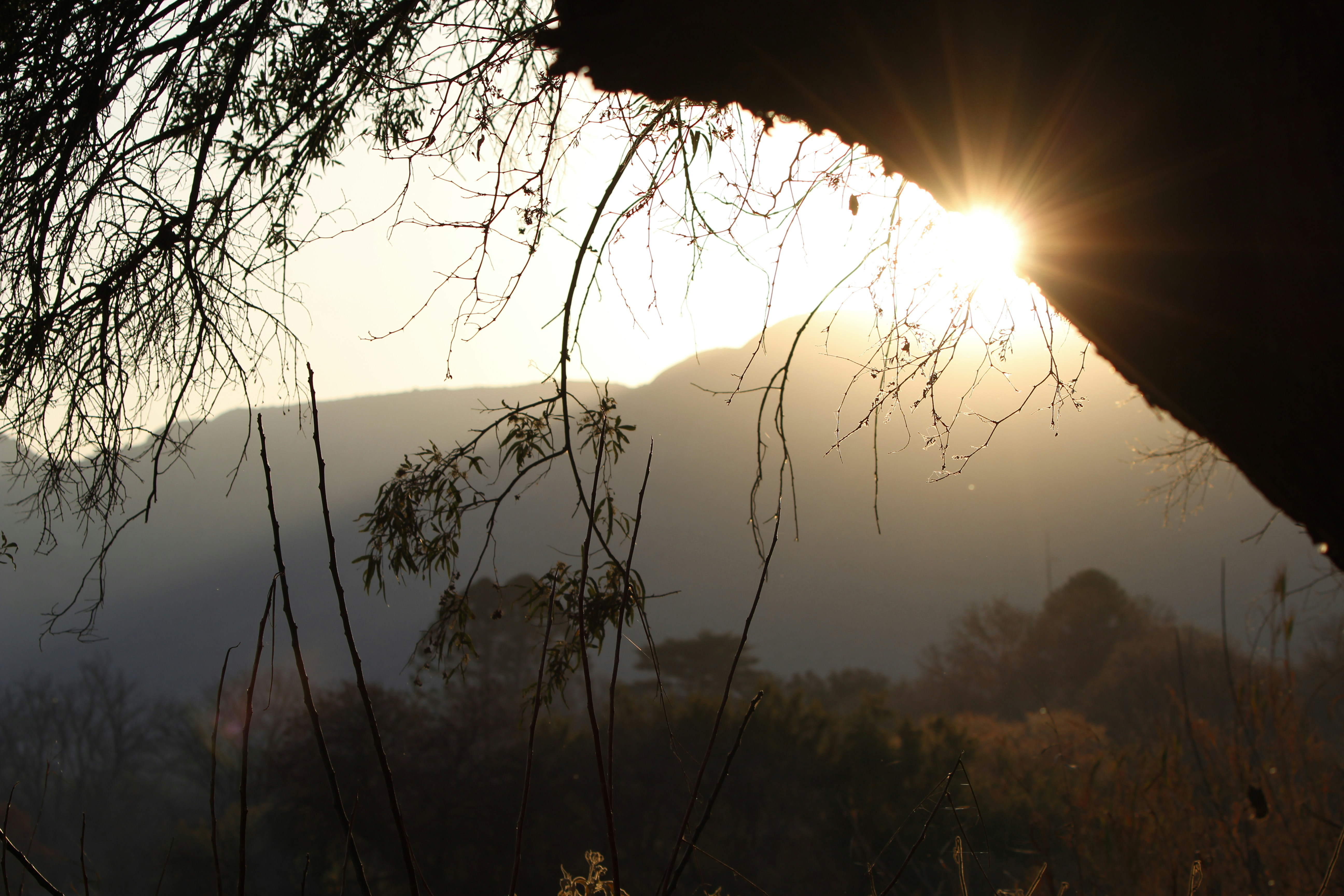 Photo by lena_bauermeister