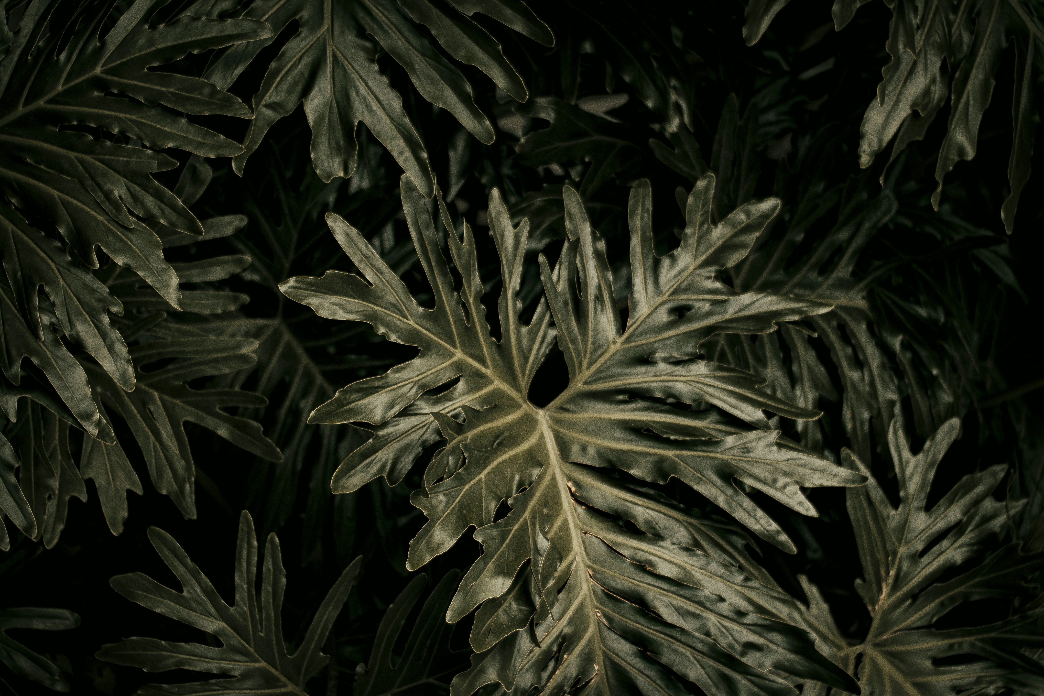 Photo by roadahead_2223