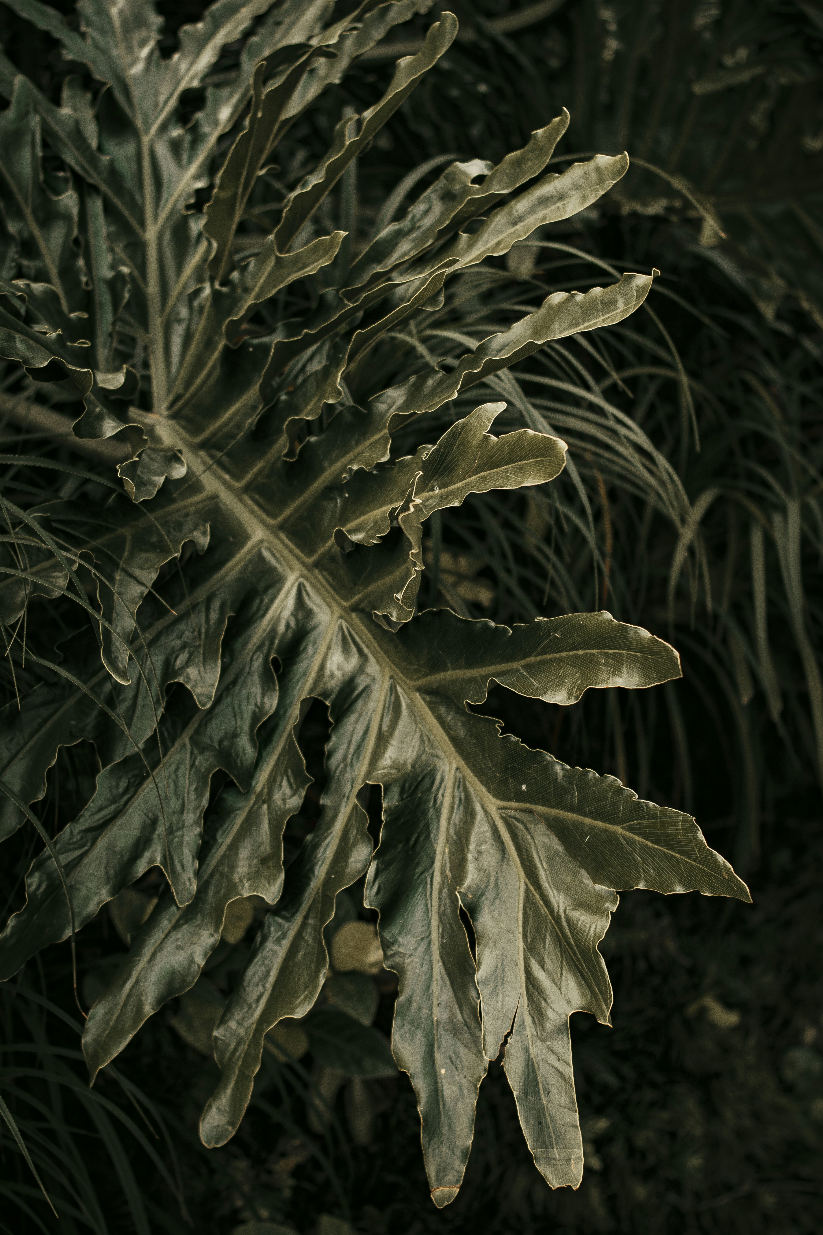 Photo by roadahead_2223