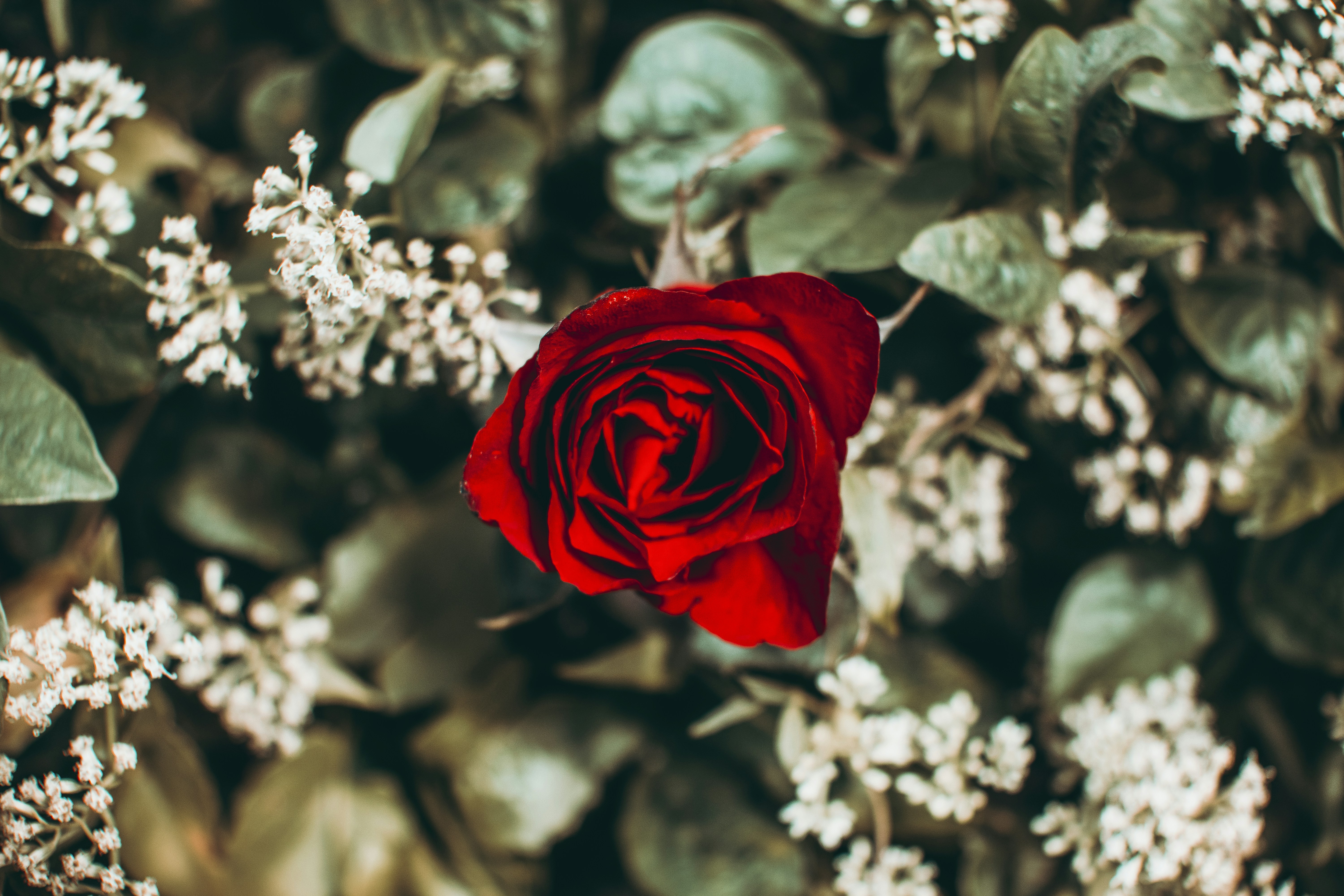 Photo by roadahead_2223