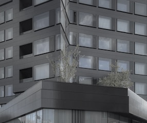 An elegant facade with modern cladding.