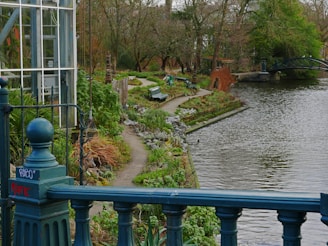 a view of a pond and a bridge in a park