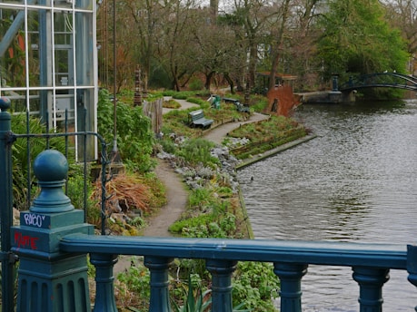 a view of a pond and a bridge in a park