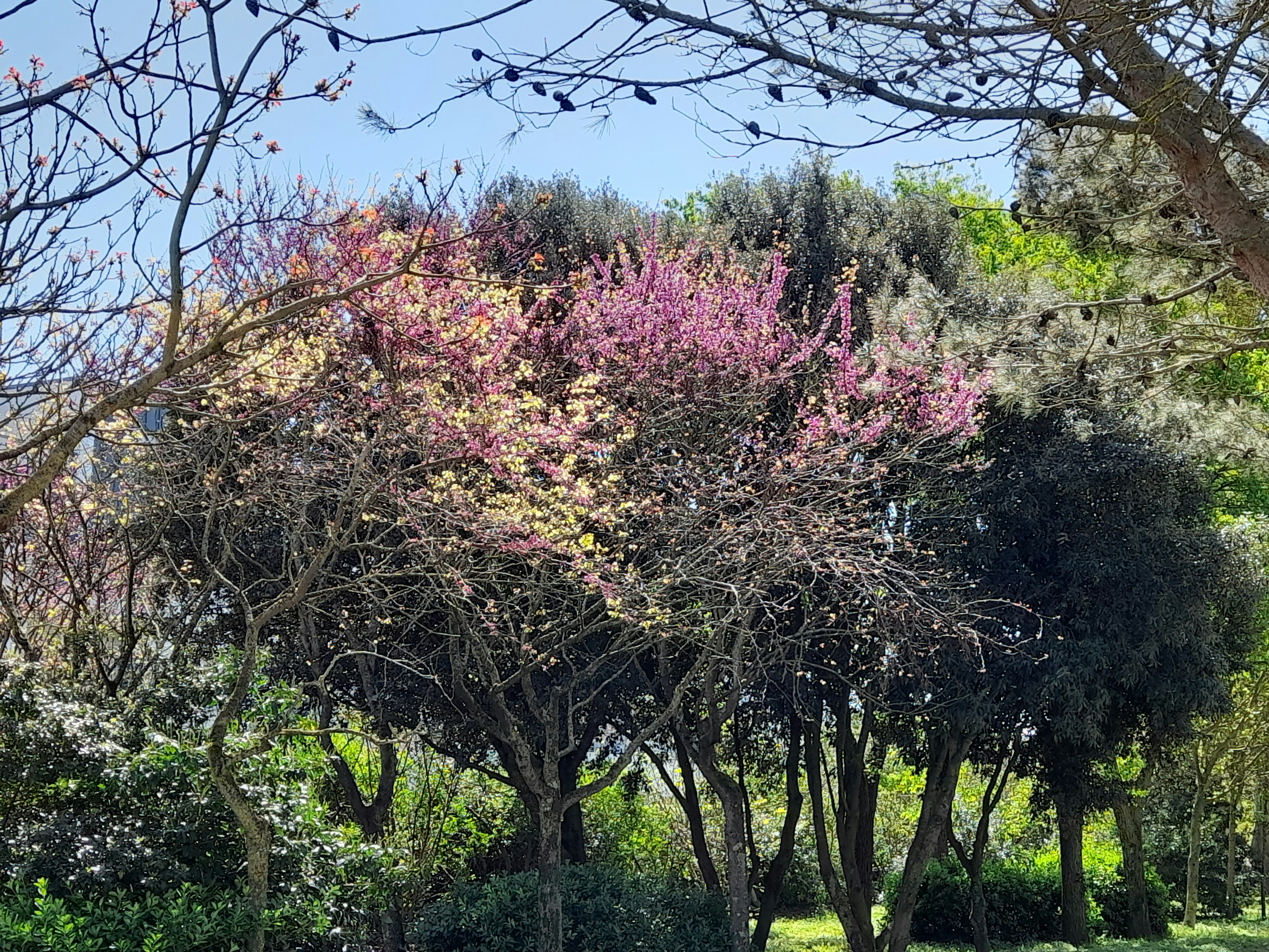 Image by Philippe LOUAGE via Unsplash