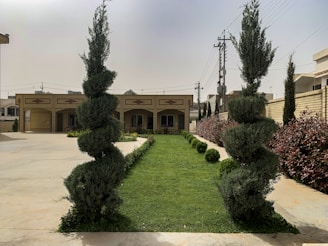 a house with a lawn in front of it
