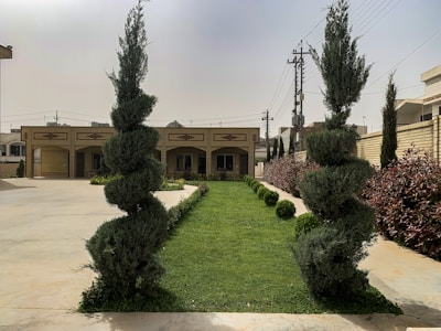 a house with a lawn in front of it