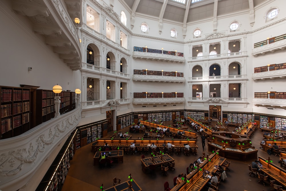 Une grande bibliothèque remplie de nombreux livres