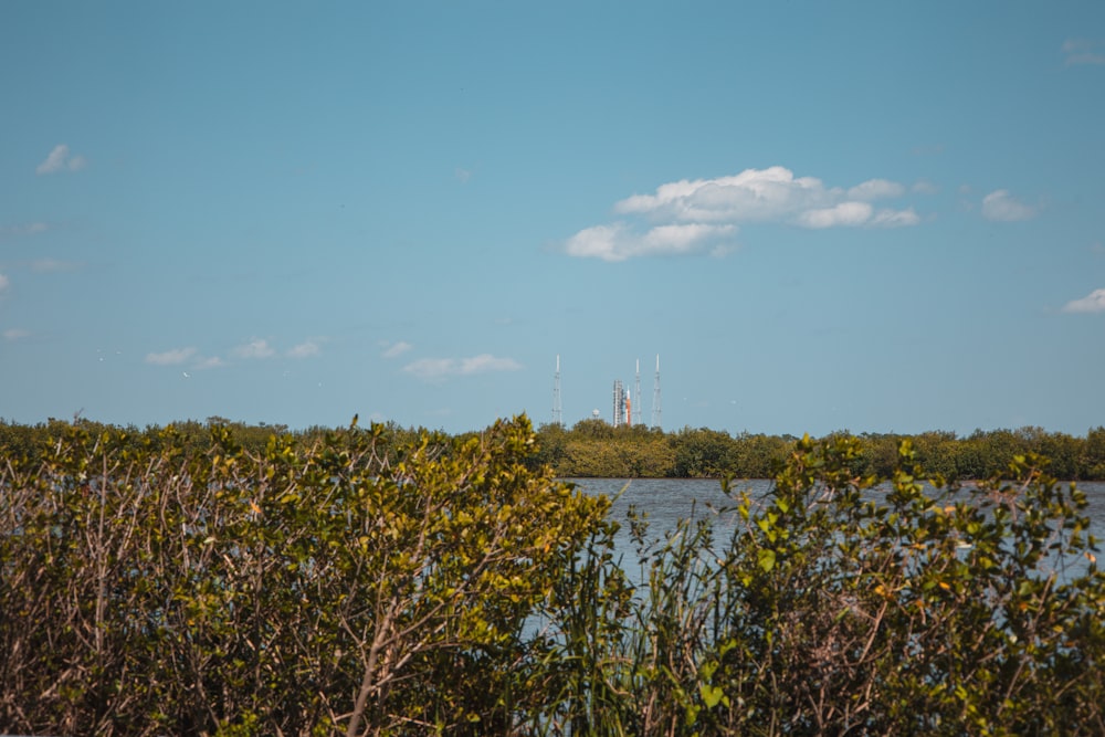 a view of a body of water surrounded by trees