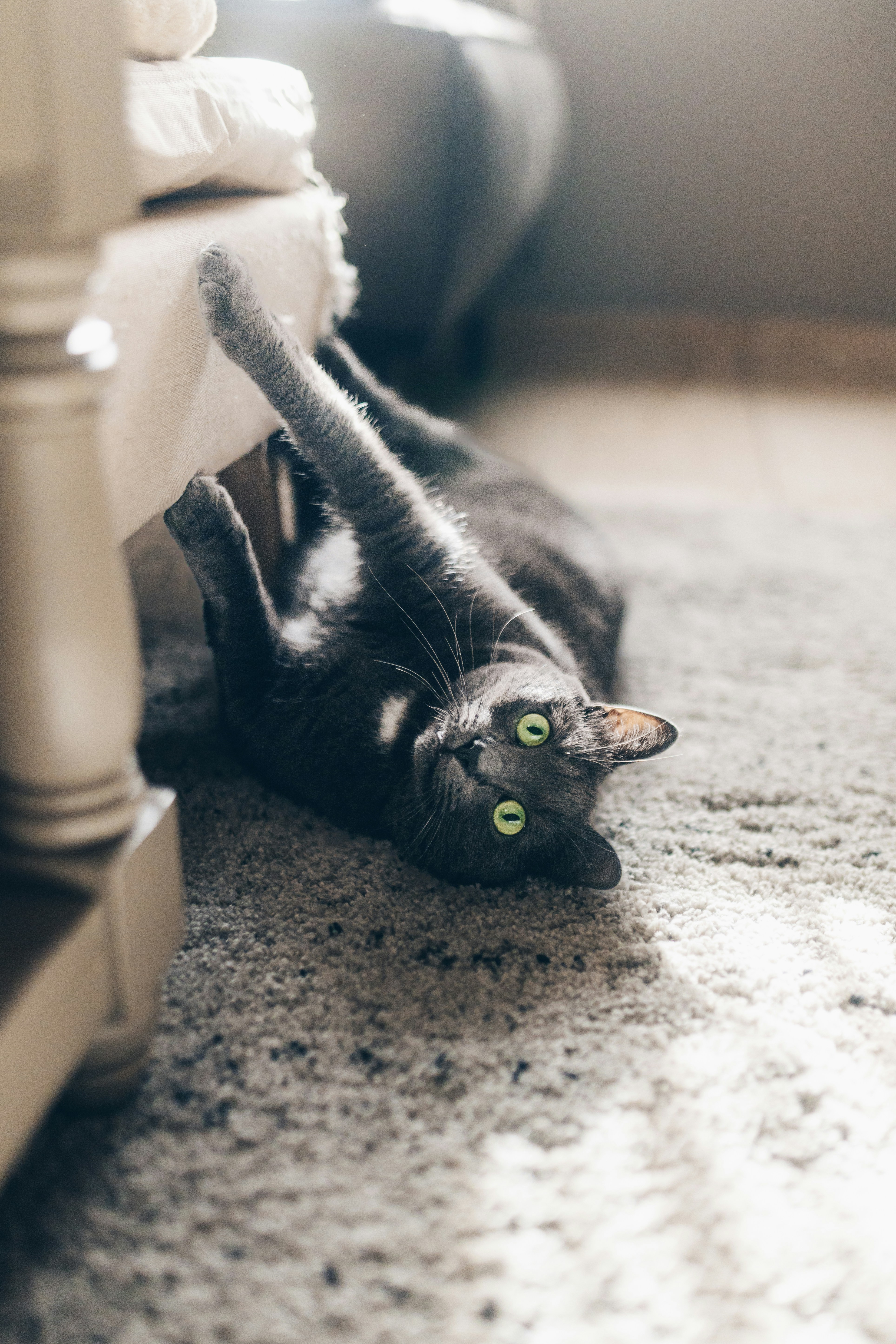 Photo by lorenzohamers