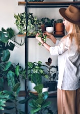 A person with long blonde hair and a brown hat tends to various houseplants on a shelving unit. The shelves are filled with a diverse collection of potted plants, featuring lush green leaves. Natural light softly illuminates the scene, creating a tranquil, earthy ambiance.