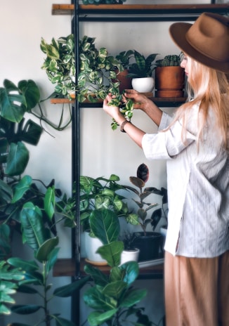 A person with long blonde hair and a brown hat tends to various houseplants on a shelving unit. The shelves are filled with a diverse collection of potted plants, featuring lush green leaves. Natural light softly illuminates the scene, creating a tranquil, earthy ambiance.